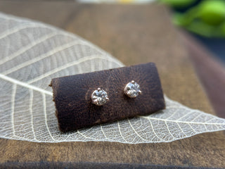 Cinnamon Studs