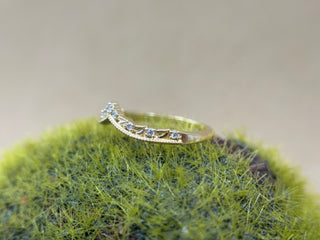 Leafy Crown Contour Band