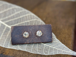 Cinnamon Studs