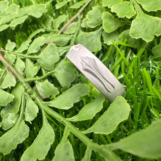 Hidden World Ring