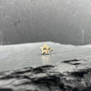 Gold Star Post Earring