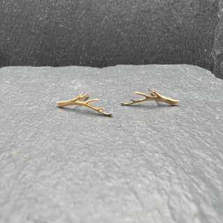 Branch Studs in Gold
