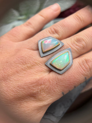 The Ring of Transmutation