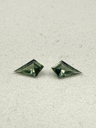 SAP226-Pair of Green Kites