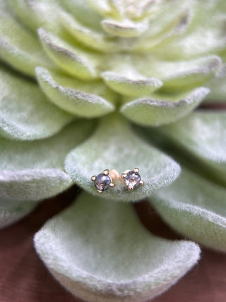 Petite Rose Cut Studs