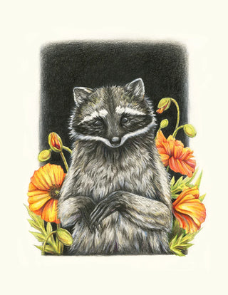 Raccoon and Orange Poppies