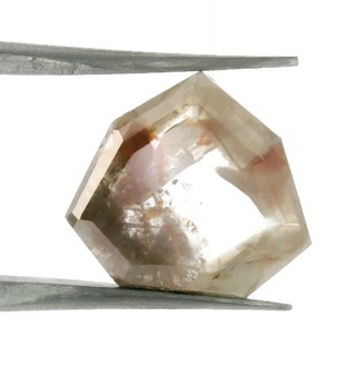 DIA138a Orange Salt & Pepper Shield
