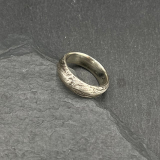Bristlecone Ring in White Gold