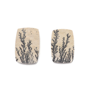 MISC112- Dendritic Sandstone Pair