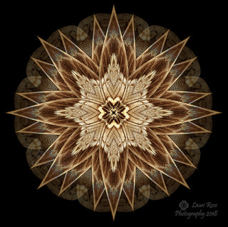 Oak
